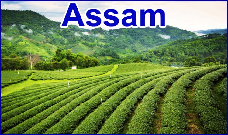 Assam মাটি নামজাৰী Land Mutation Apply Online | Mission Basundhara Assam Land Records Update Online